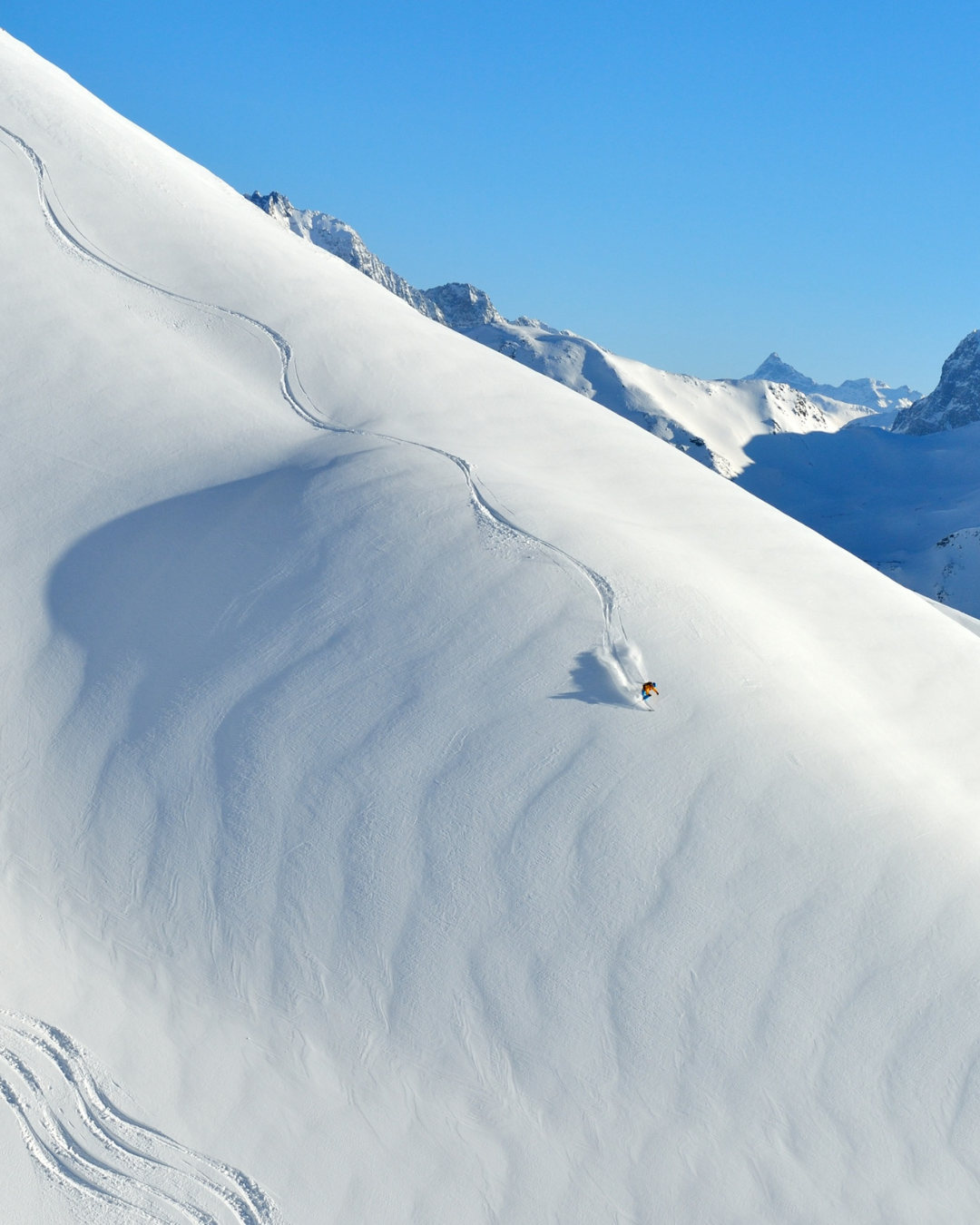 Freeride & Freeski
